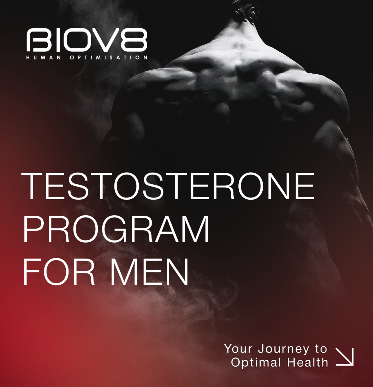 BIOV8 Testosterone Program for Men